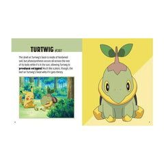 Pokémon: Trainer's Mini Exploration Guide to Sinnoh