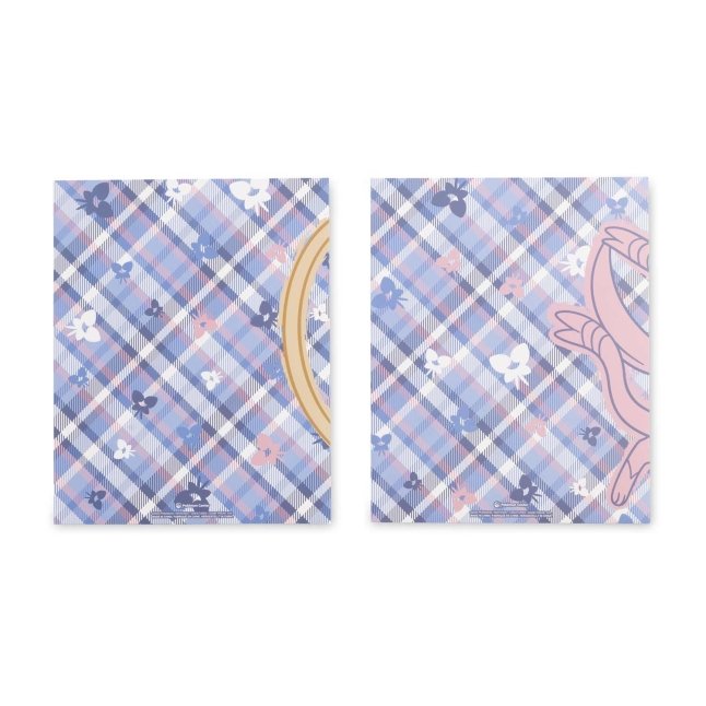 Fairy Forces Pokémon Fundamentals Folders (2-Pack)